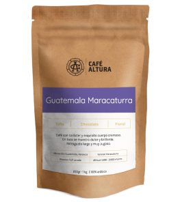 guatemala maracaturra